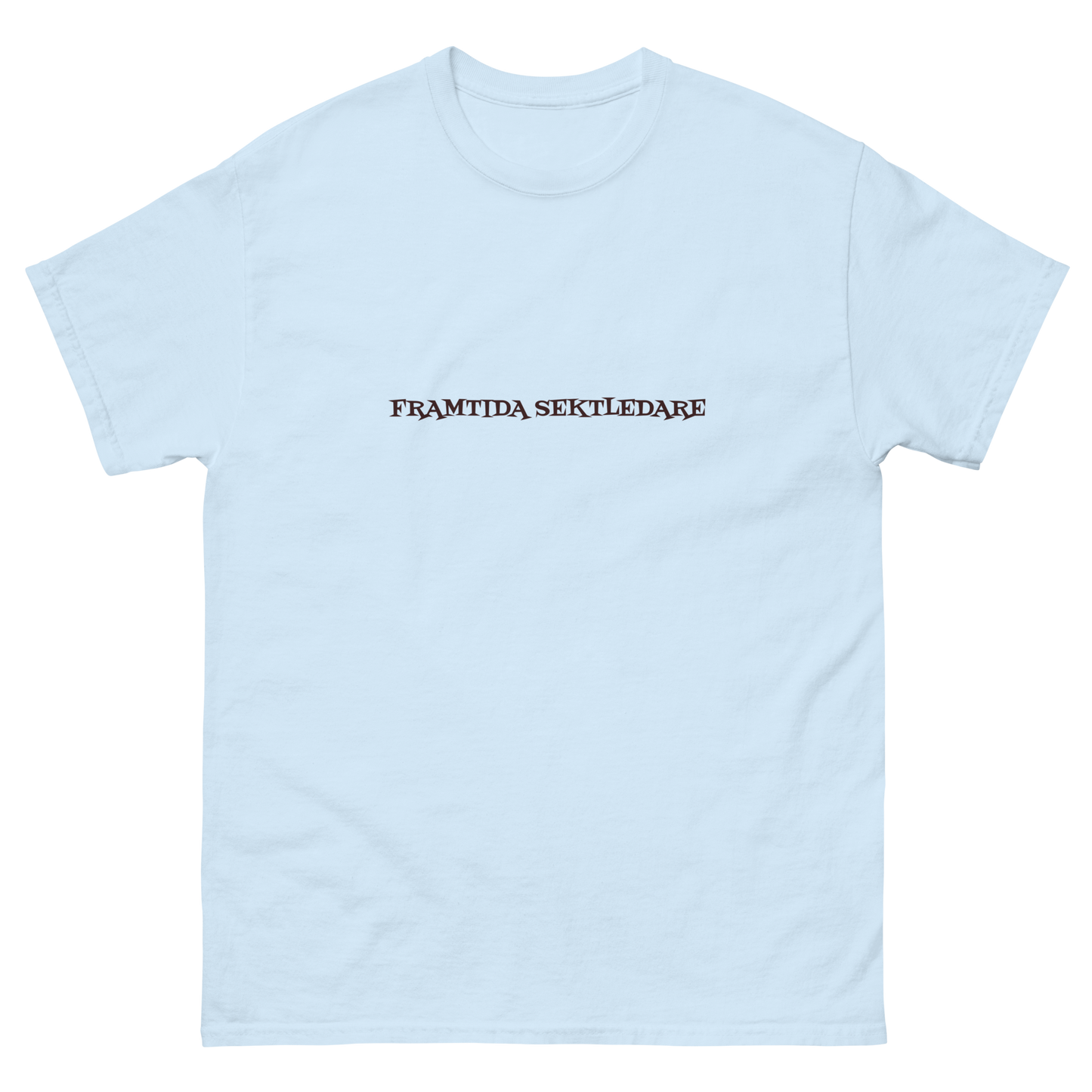 FRAMTIDA SEKTLEDARE